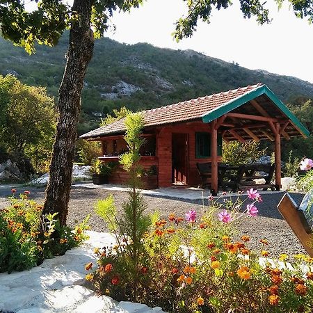 Готель Camp Oaza,Lipa Цетинє Екстер'єр фото